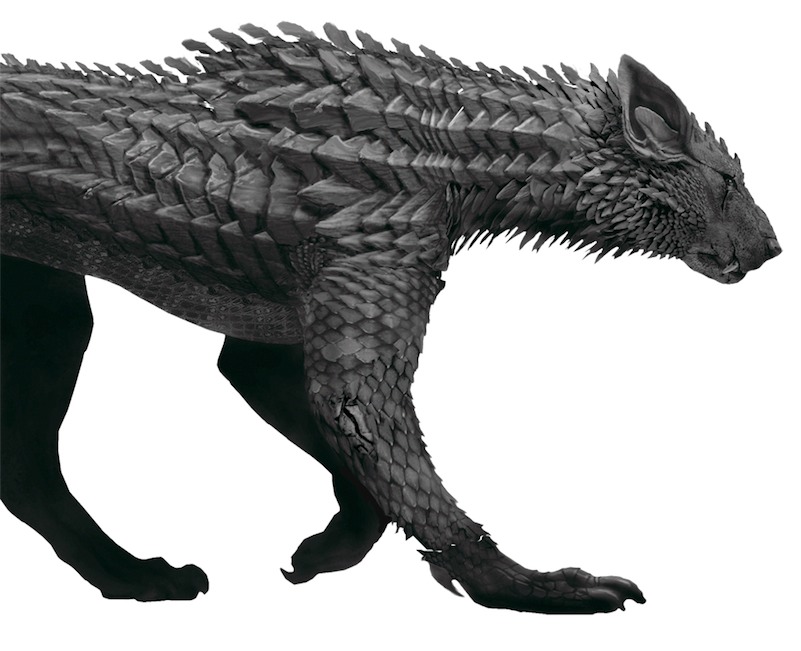 meanest dogs eevolver meanest dogs eevolver
